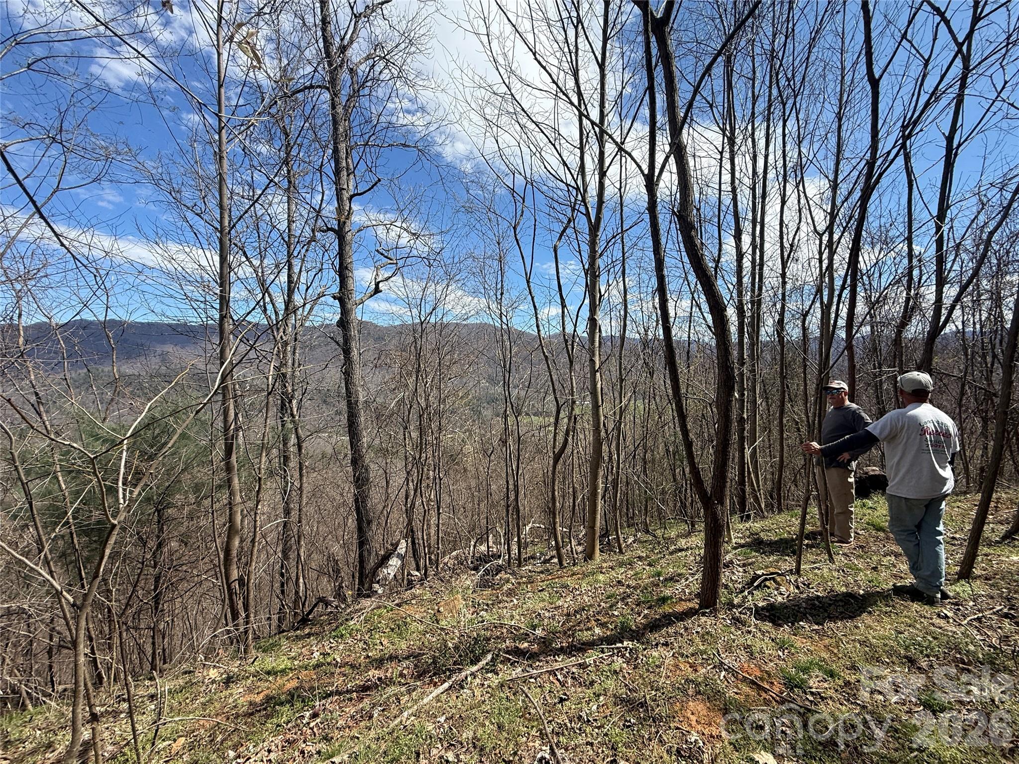 000 Caldwell Mountain Road Hot Springs NC 28743