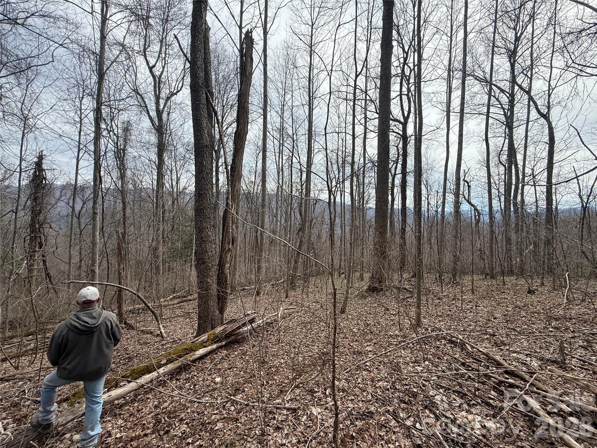 000 Caldwell Mountain Road Hot Springs NC 28743