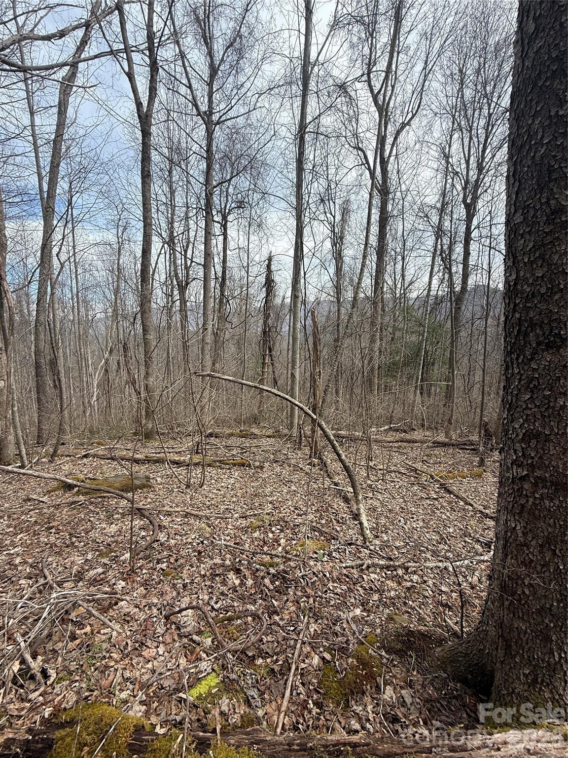 000 Caldwell Mountain Road Hot Springs NC 28743