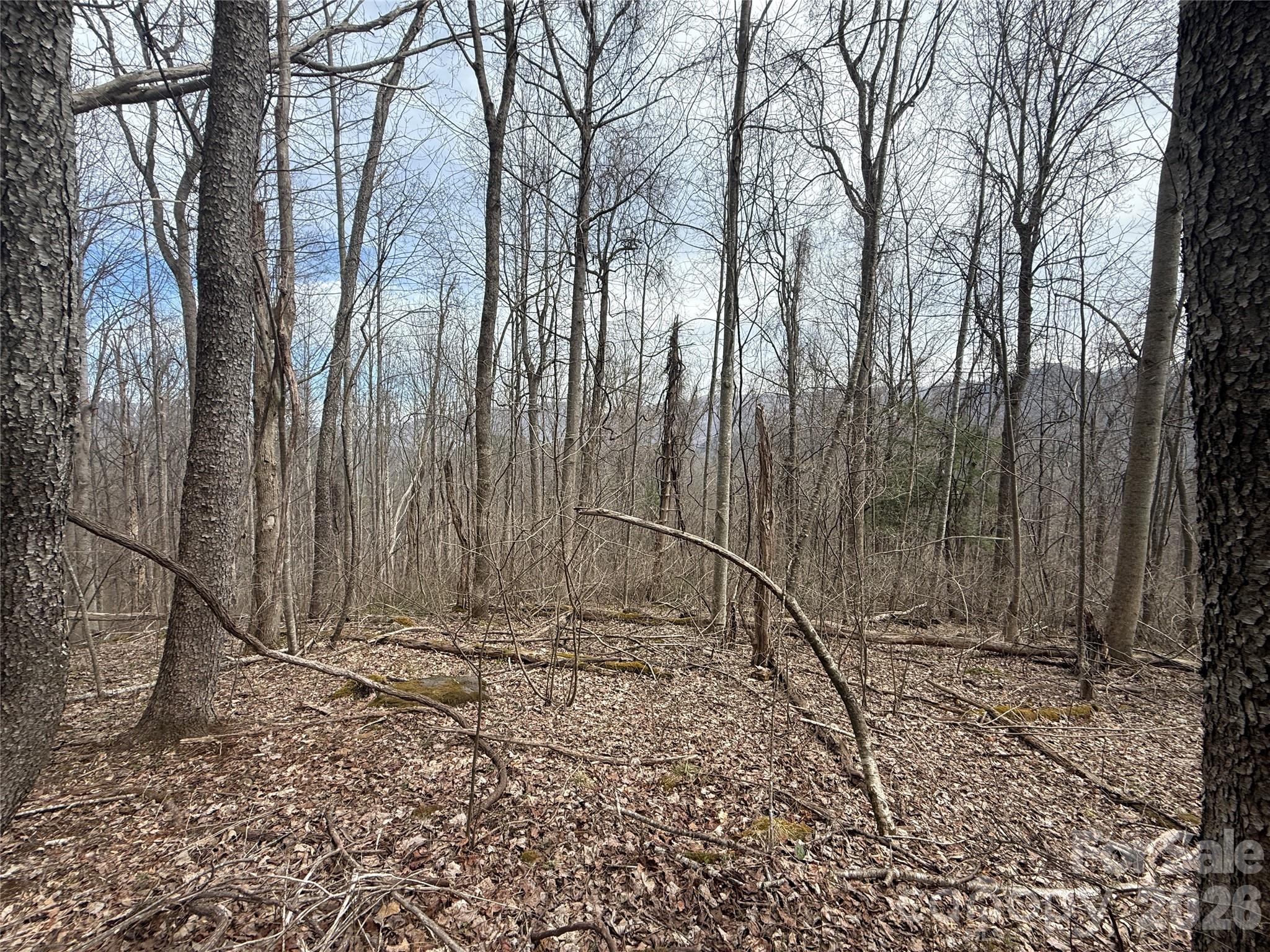 000 Caldwell Mountain Road Hot Springs NC 28743