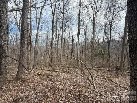 000 Caldwell Mountain Road Hot Springs NC 28743