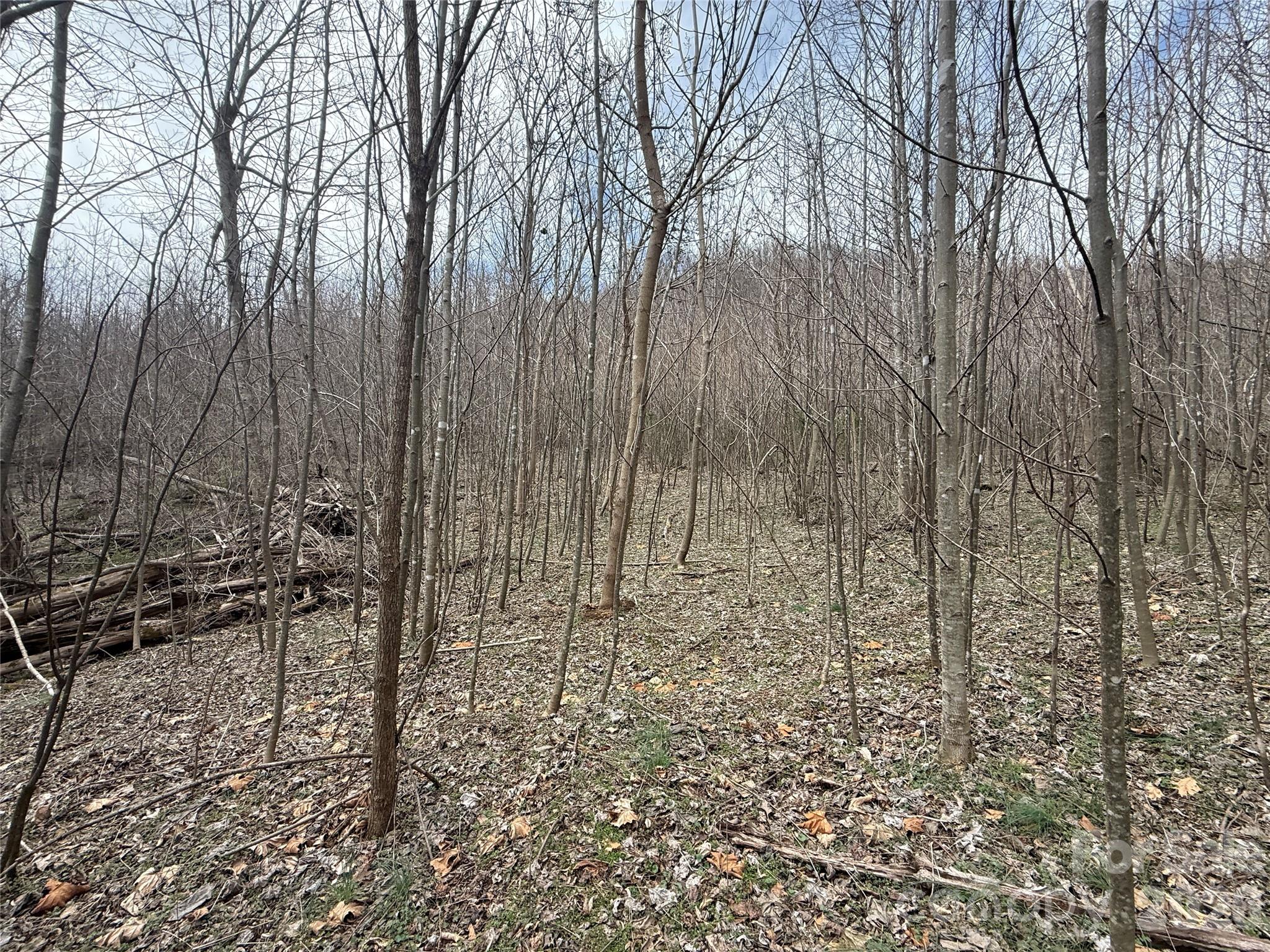000 Caldwell Mountain Road Hot Springs NC 28743