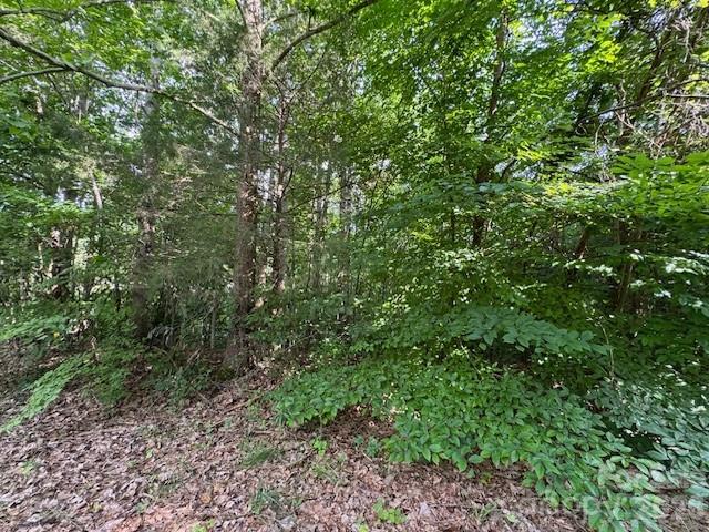 00 Hilltop Drive Statesville NC 28625
