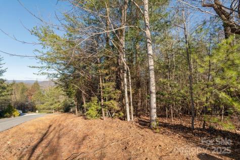 Tbd Dockside Drive Nebo NC 28754