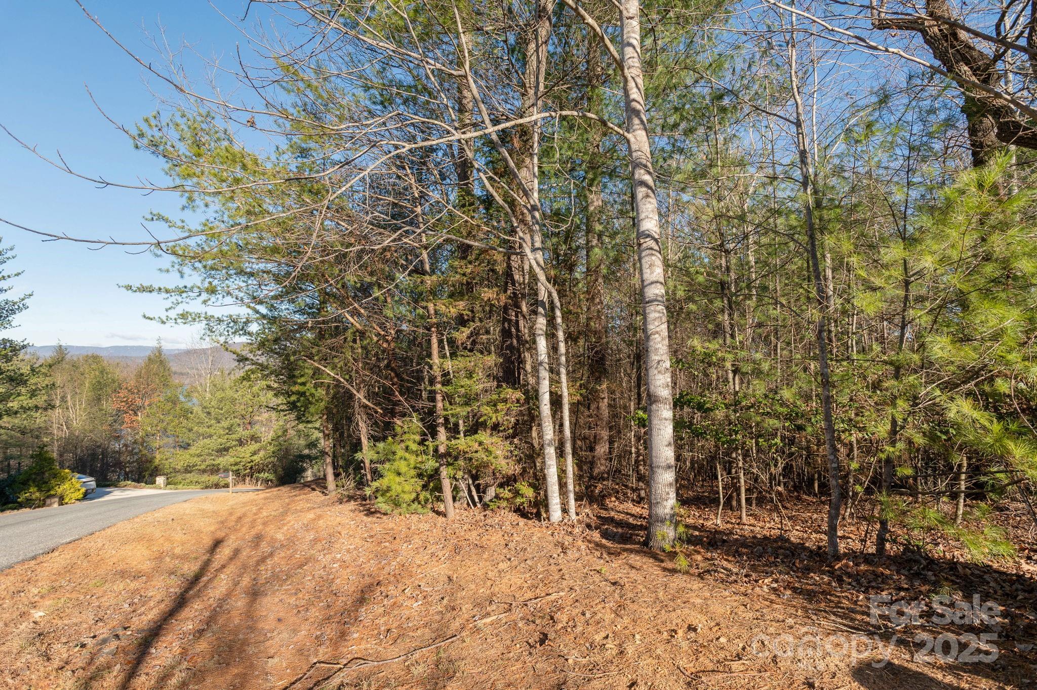Tbd Dockside Drive Nebo NC 28754