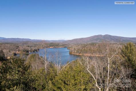 Tbd Dockside Drive Nebo NC 28754