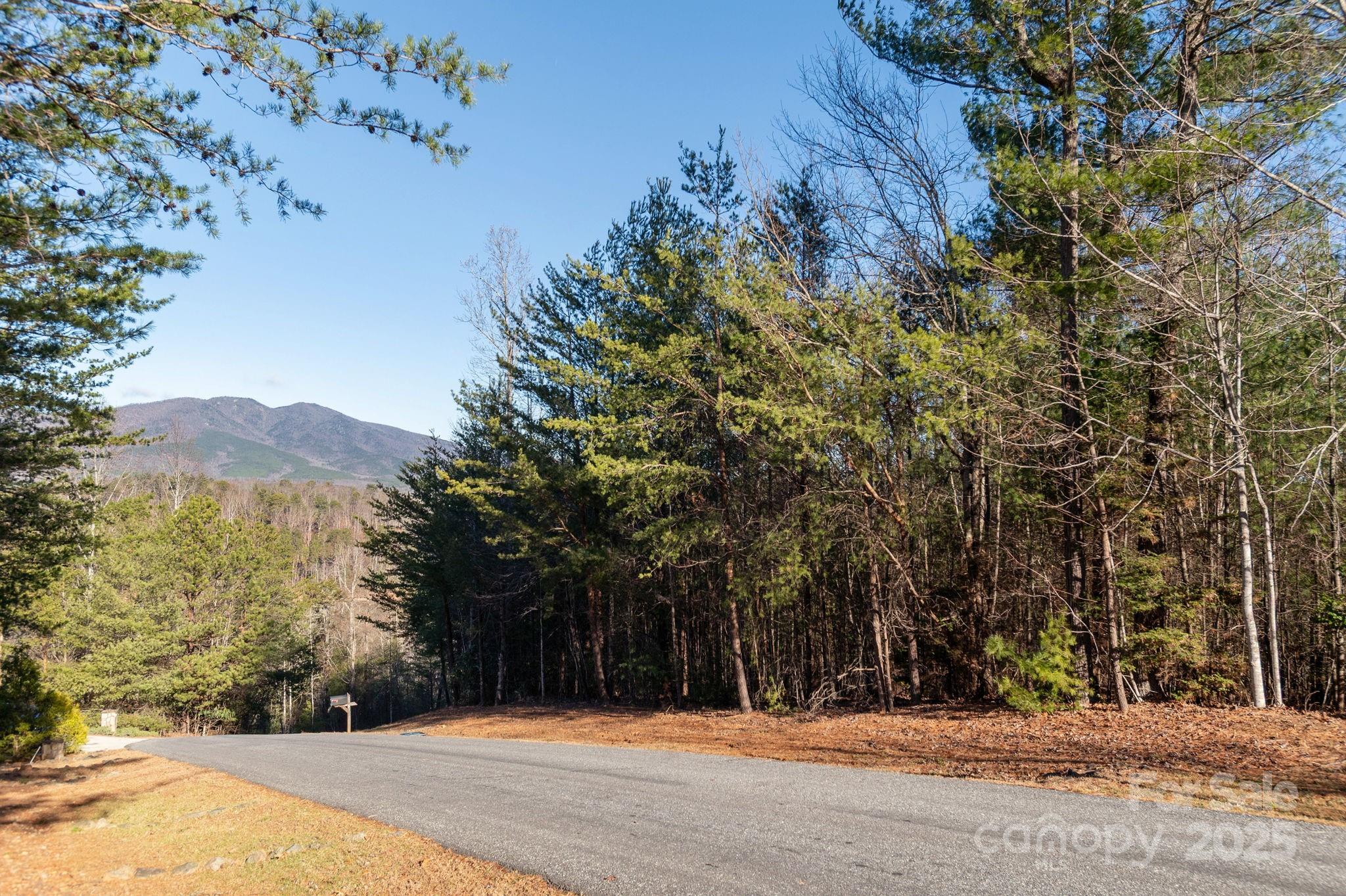 Tbd Dockside Drive Nebo NC 28754