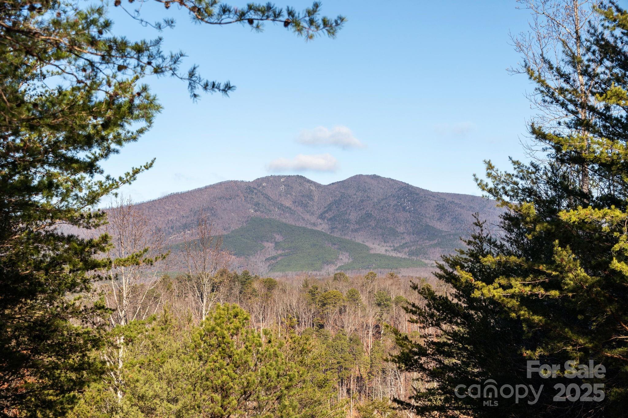 Tbd Dockside Drive Nebo NC 28754