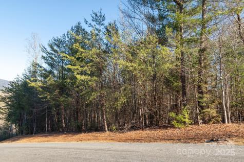 Tbd Dockside Drive Nebo NC 28754