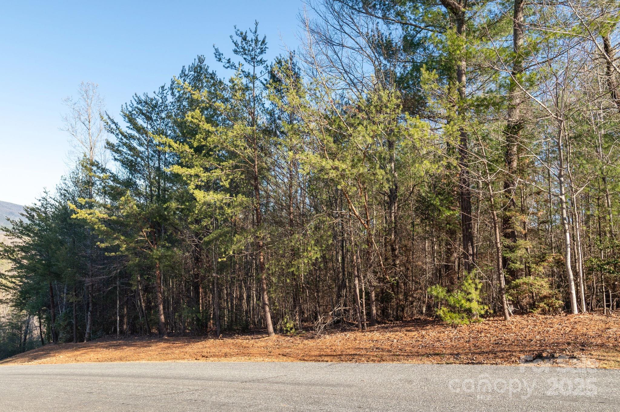 Tbd Dockside Drive Nebo NC 28754