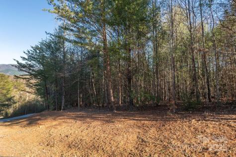 Tbd Dockside Drive Nebo NC 28754