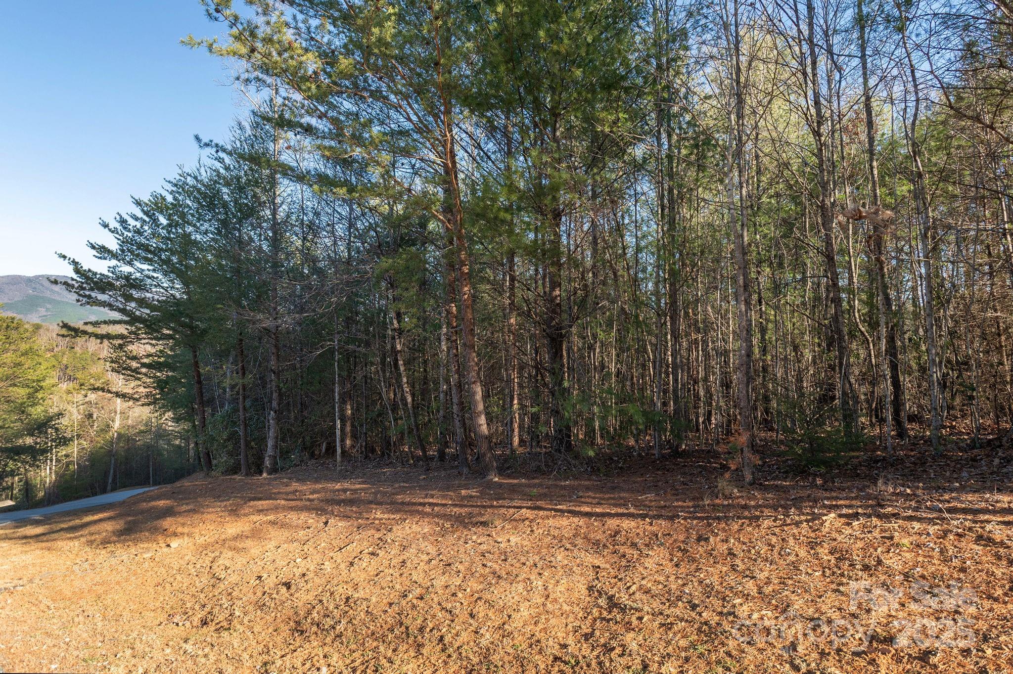 Tbd Dockside Drive Nebo NC 28754