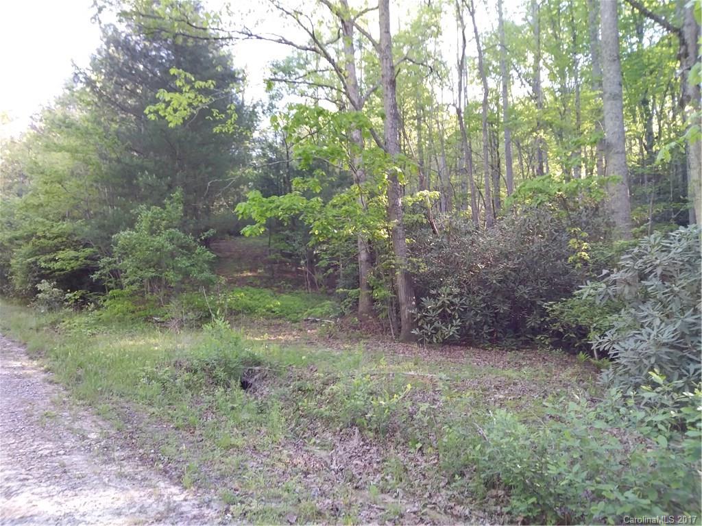 366 View Drive Horse Shoe NC 28742