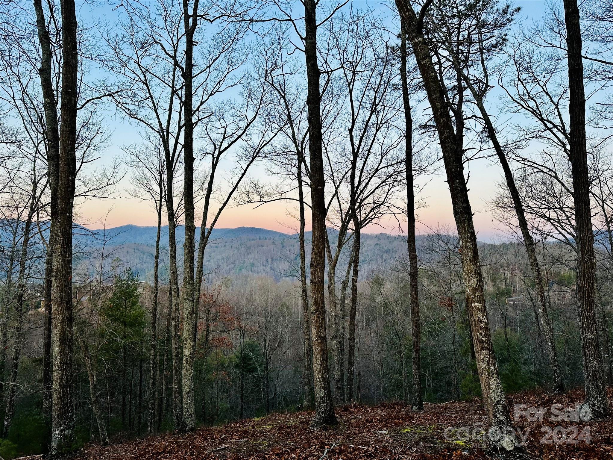75 Raccoon Run Marshall NC 28753