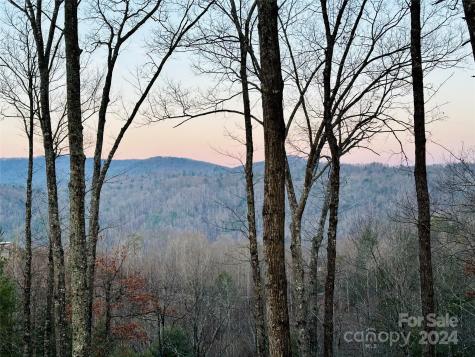 75 Raccoon Run Marshall NC 28753