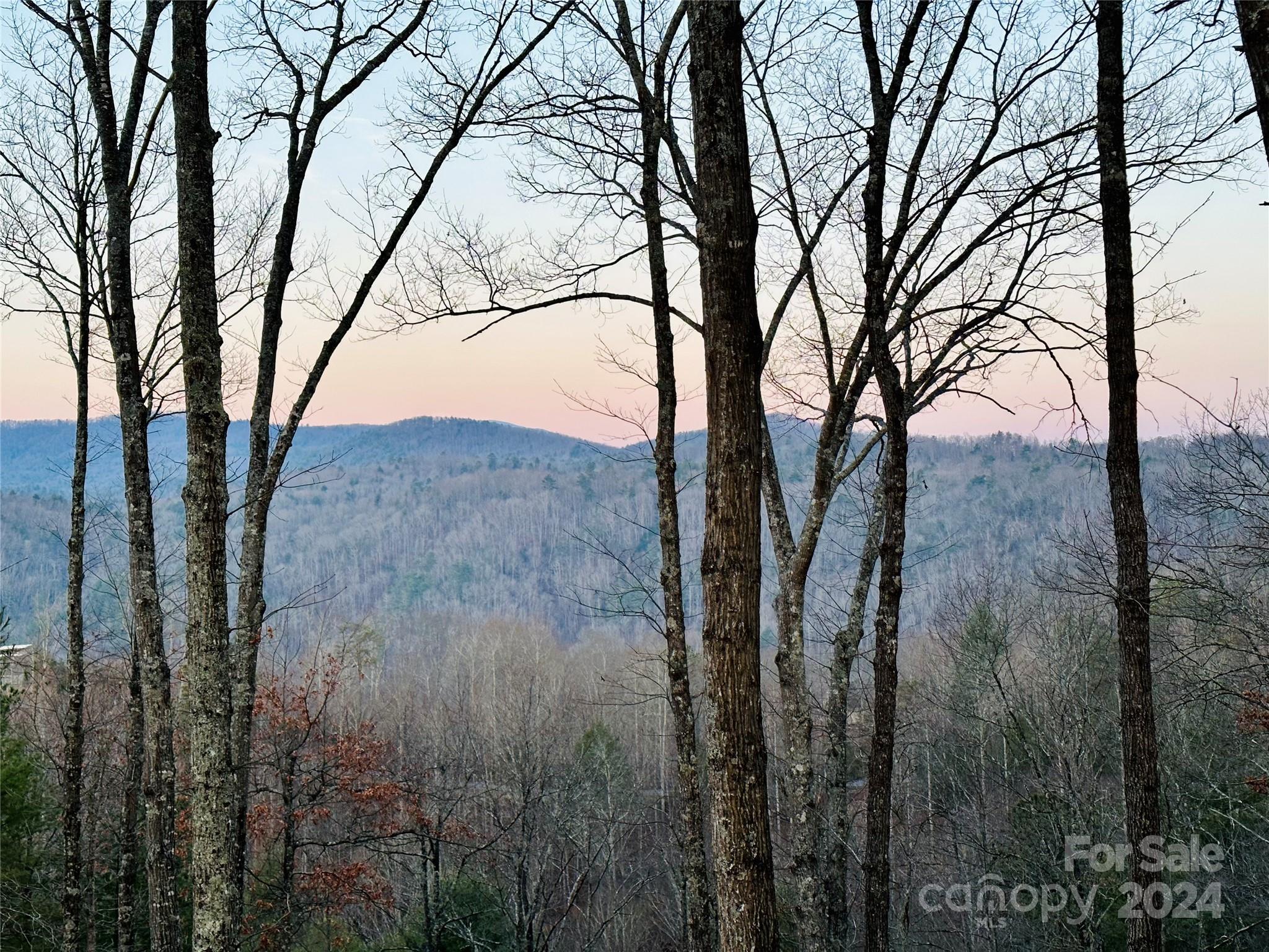 75 Raccoon Run Marshall NC 28753