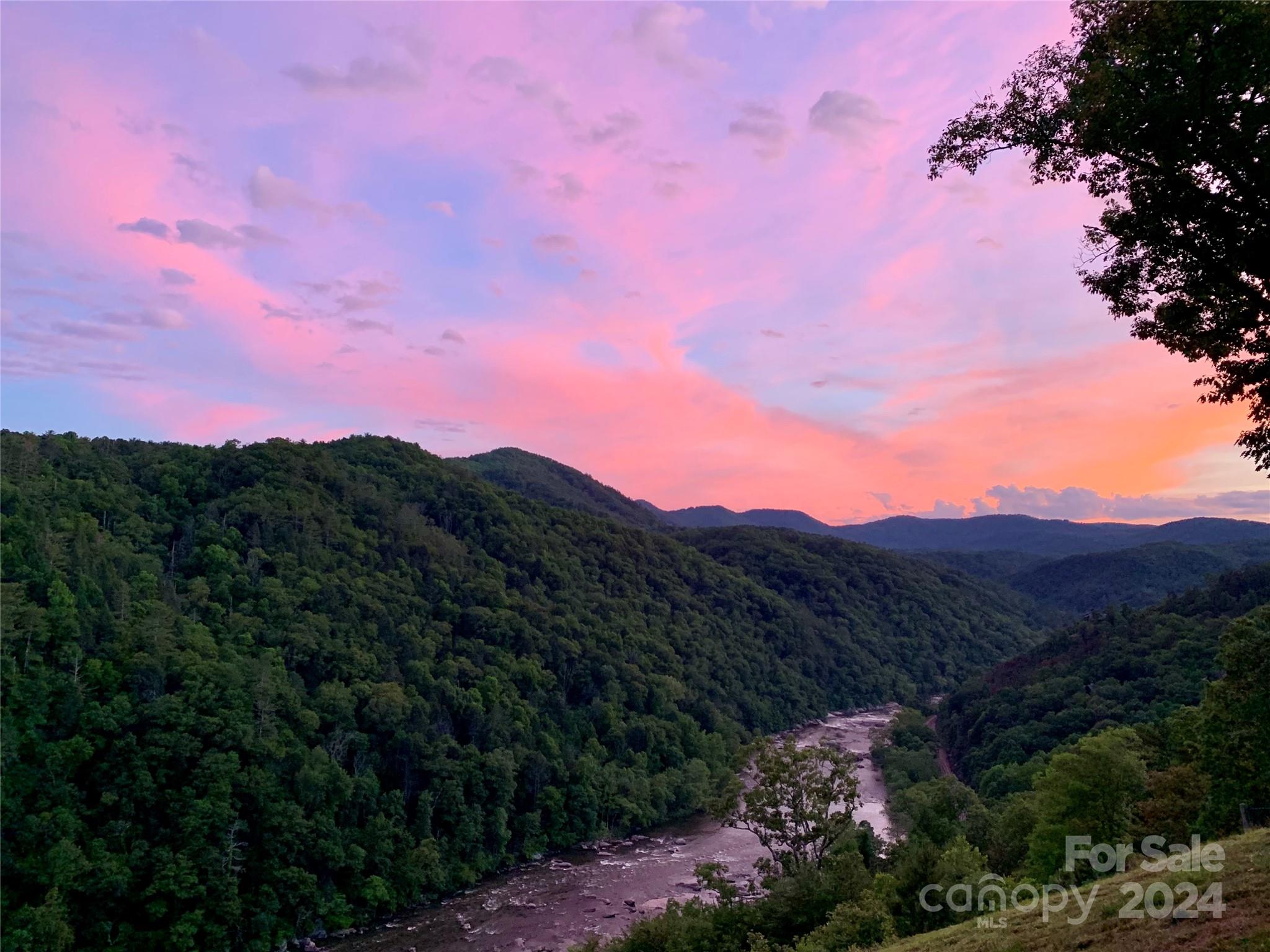 75 Raccoon Run Marshall NC 28753