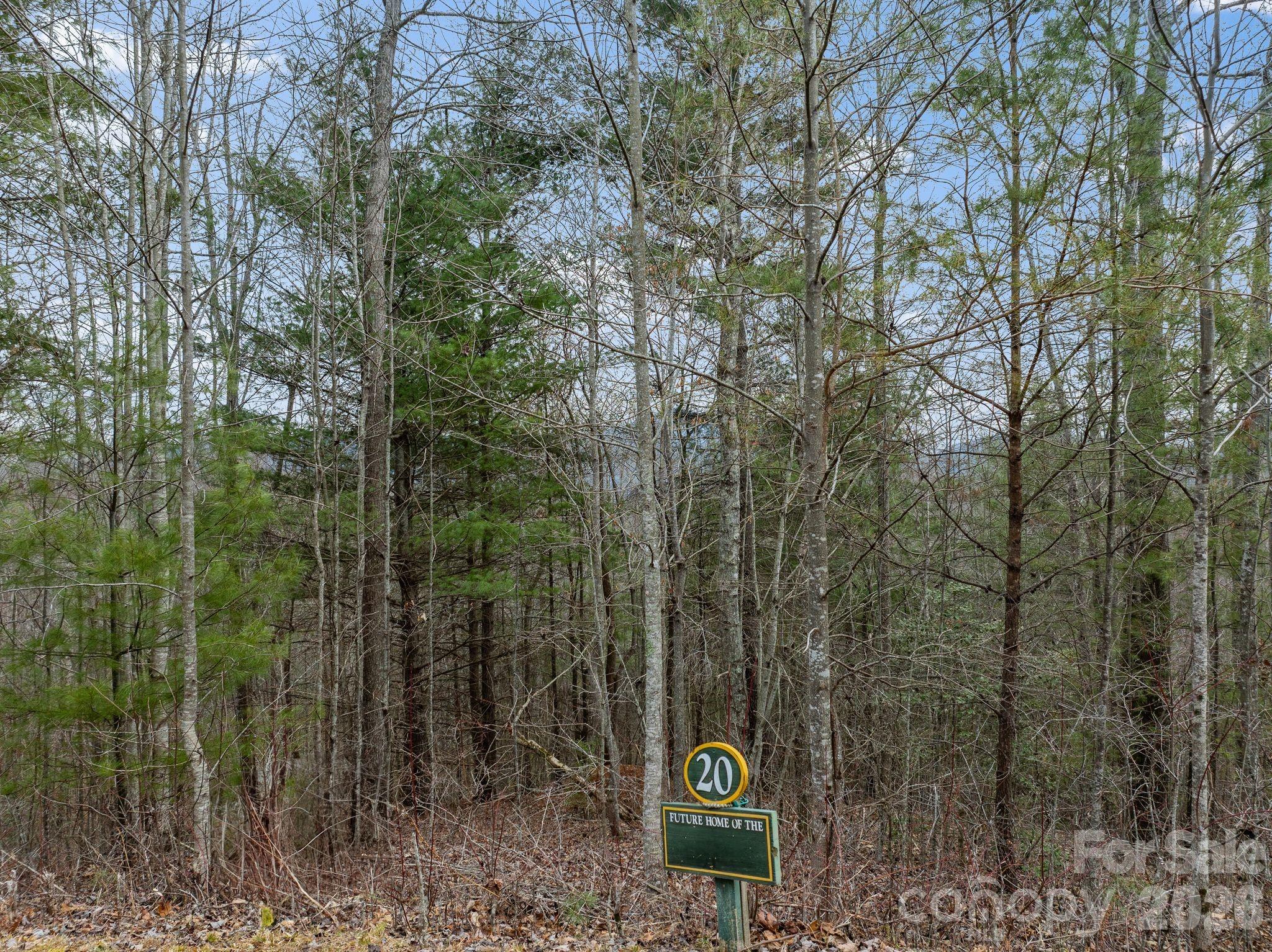 400 Pine Cone Trail Marshall NC 28753