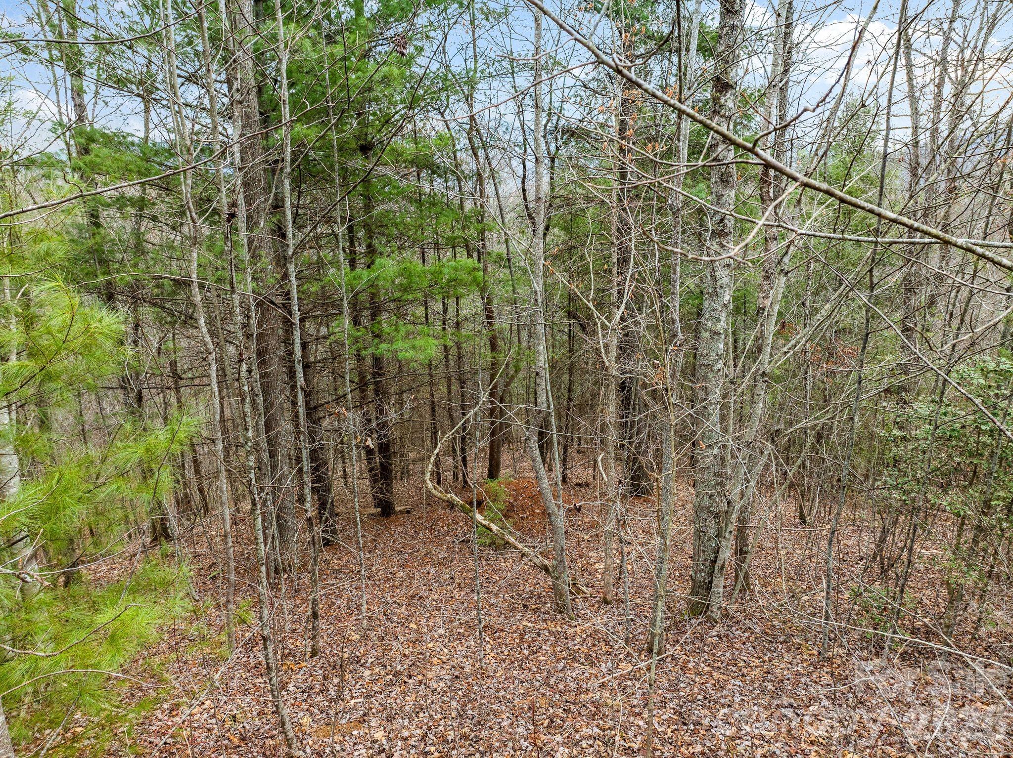 400 Pine Cone Trail Marshall NC 28753