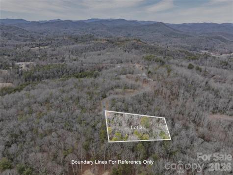 Tract 2 Turtle Ridge Trail Mills River NC 28759
