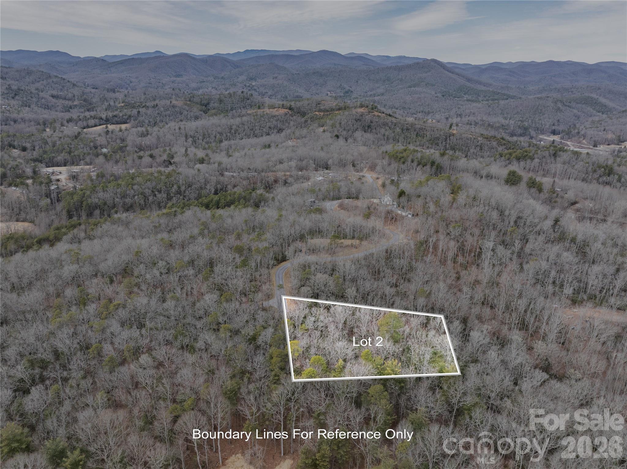 Tract 2 Turtle Ridge Trail Mills River NC 28759