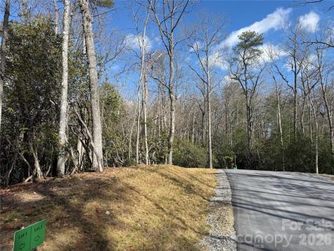 Tract 2 Turtle Ridge Trail Mills River NC 28759