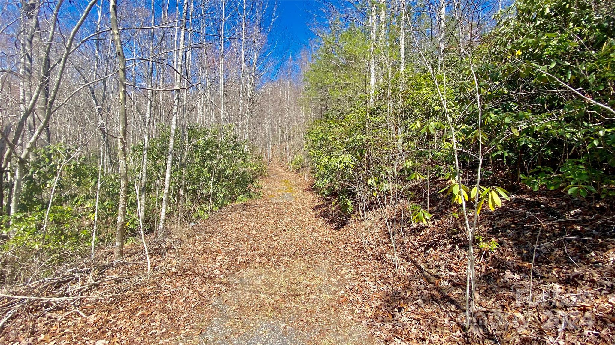 9999 Lake George Road, Old Fort NC | MLS# Car4121740 - GreyBeard Realty