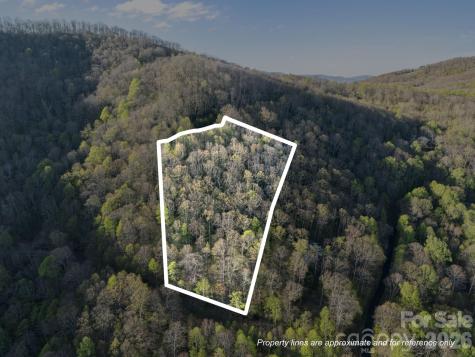 58 Mountain Azalea Drive Swannanoa NC 28778