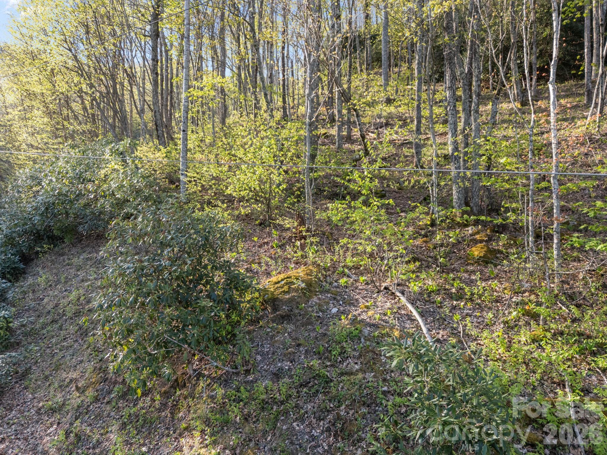 58 Mountain Azalea Drive Swannanoa NC 28778