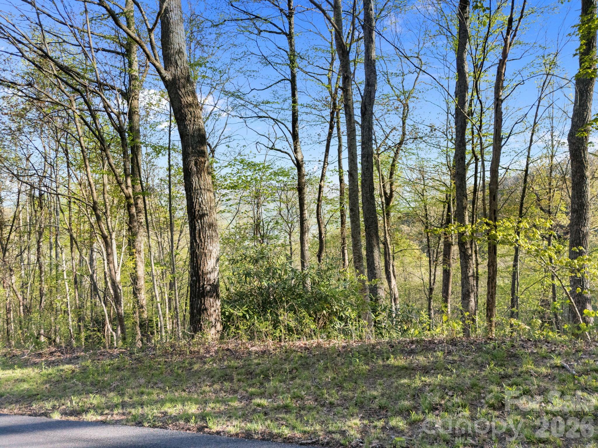58 Mountain Azalea Drive Swannanoa NC 28778