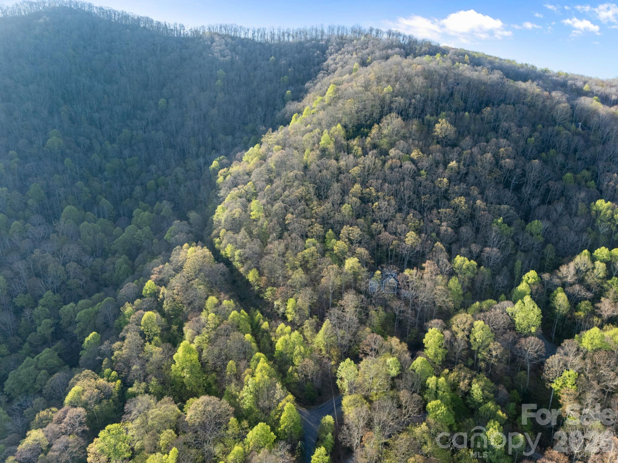 58 Mountain Azalea Drive Swannanoa NC 28778