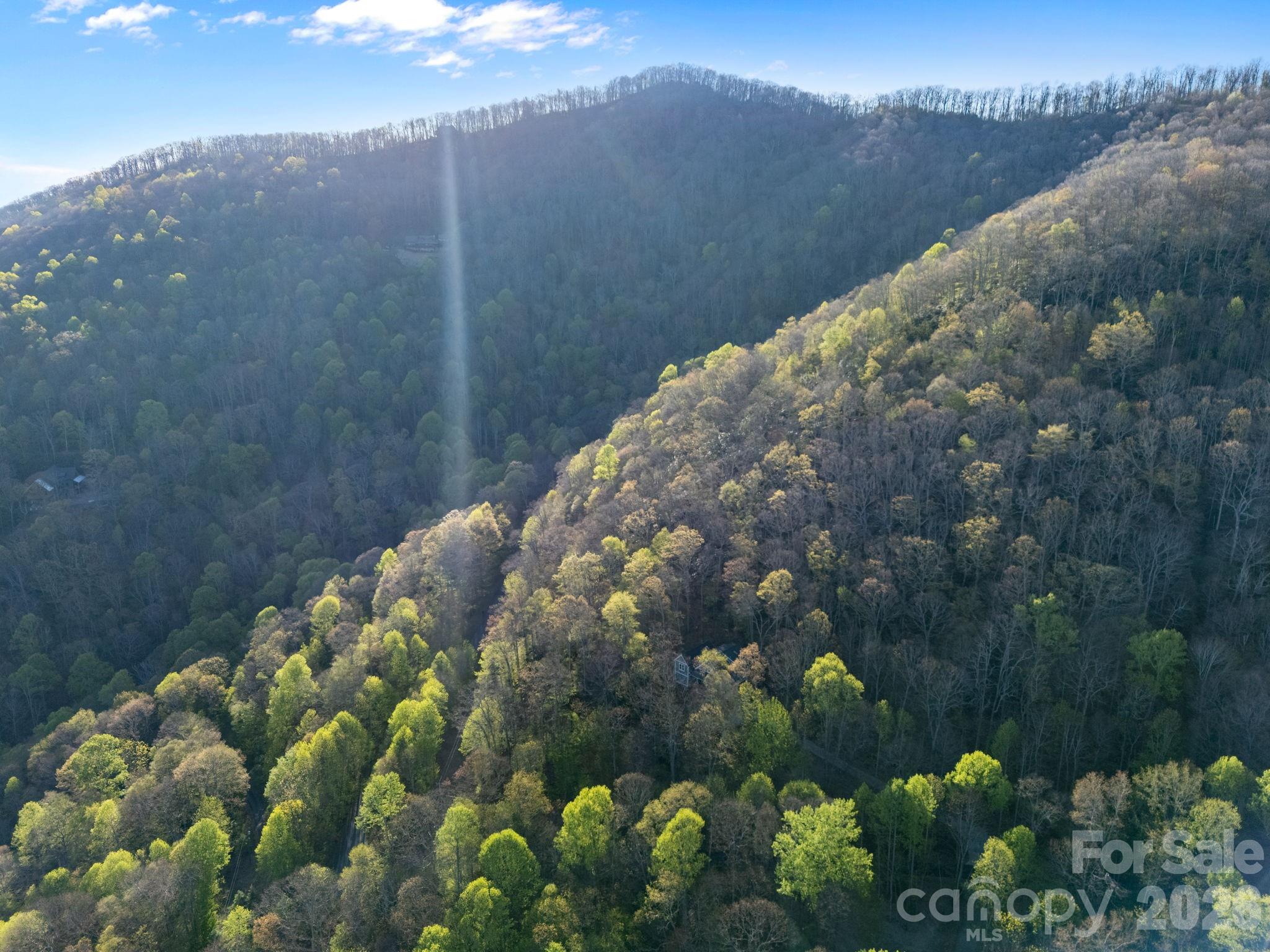 58 Mountain Azalea Drive Swannanoa NC 28778