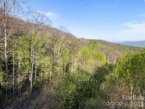 58 Mountain Azalea Drive Swannanoa NC 28778