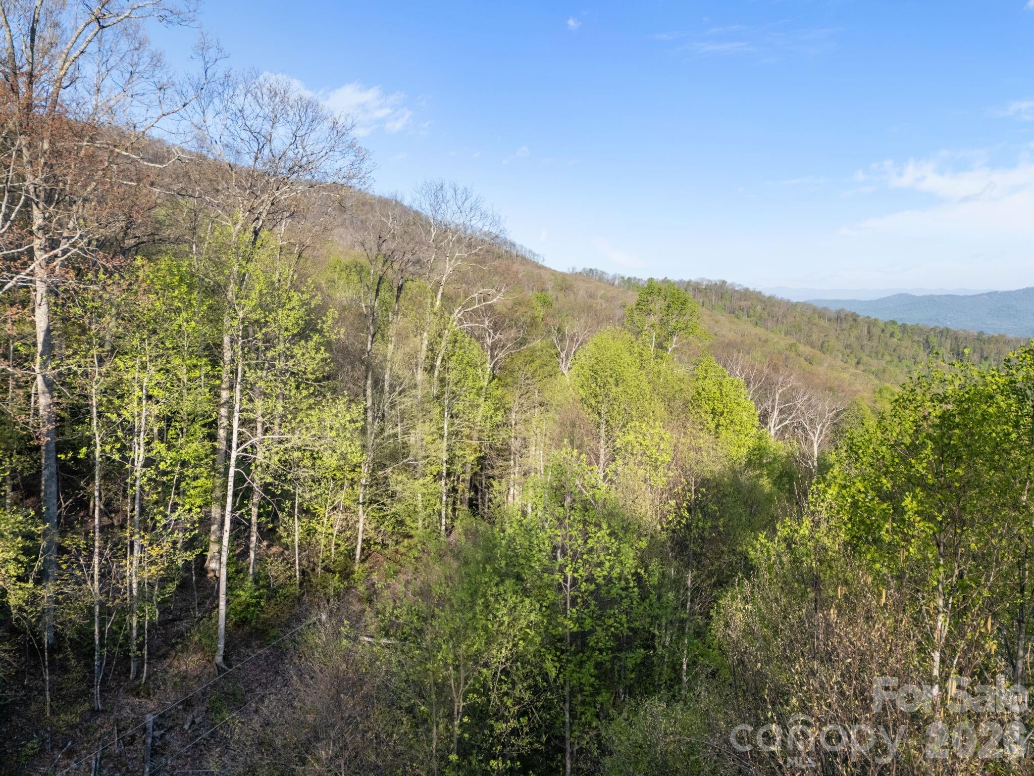 58 Mountain Azalea Drive Swannanoa NC 28778