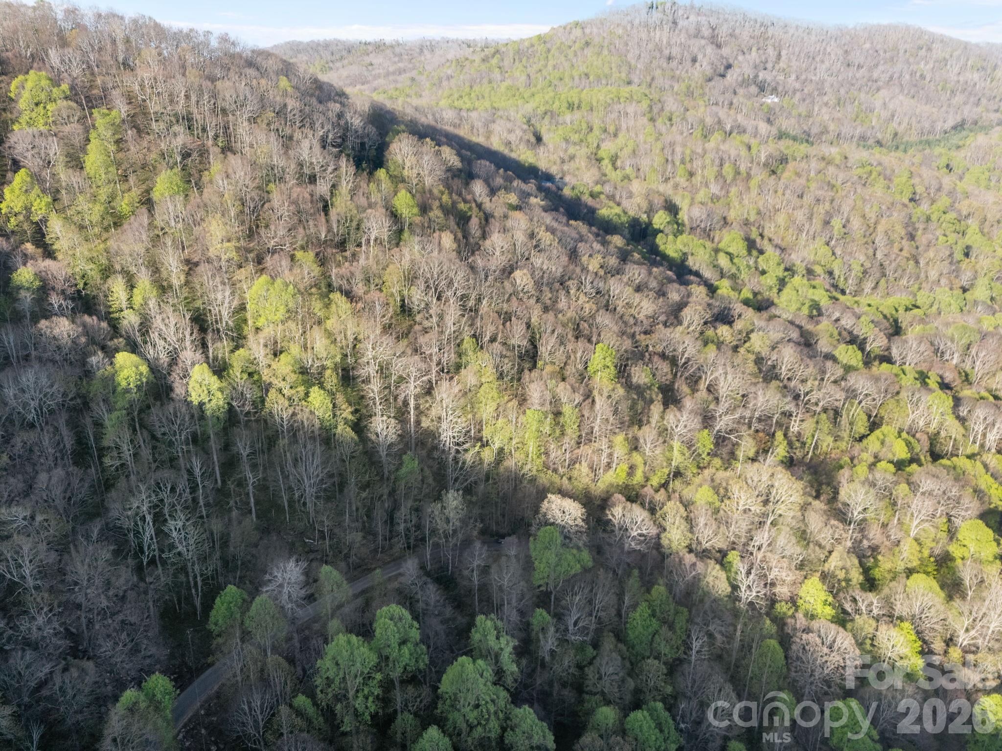 58 Mountain Azalea Drive Swannanoa NC 28778