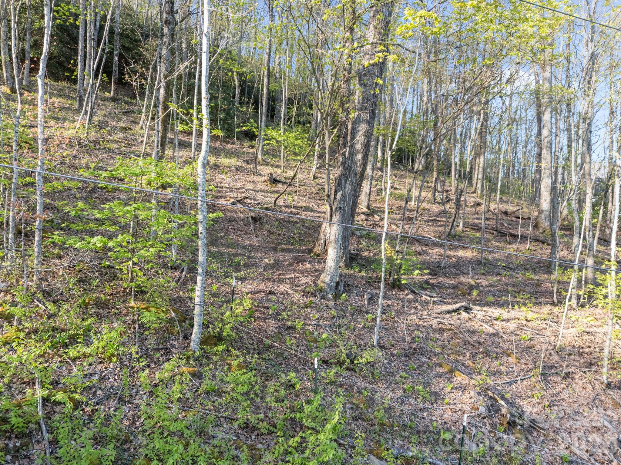 58 Mountain Azalea Drive Swannanoa NC 28778