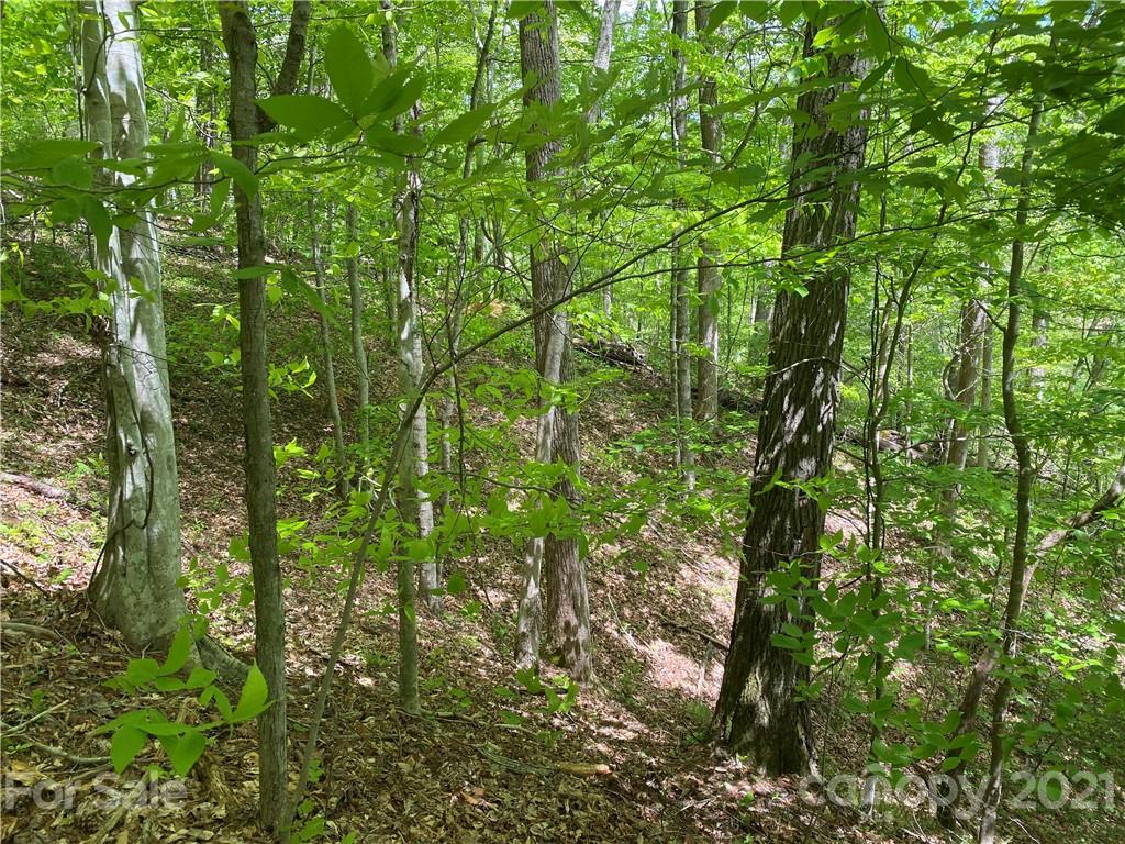 Tbd Highway 212 Highway Marshall NC 28753