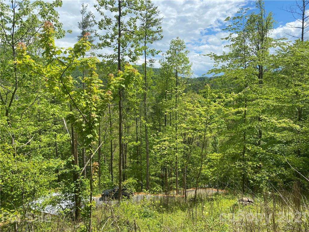 Tbd Highway 212 Highway Marshall NC 28753