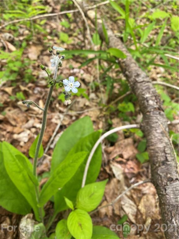 Tbd Highway 212 Highway Marshall NC 28753