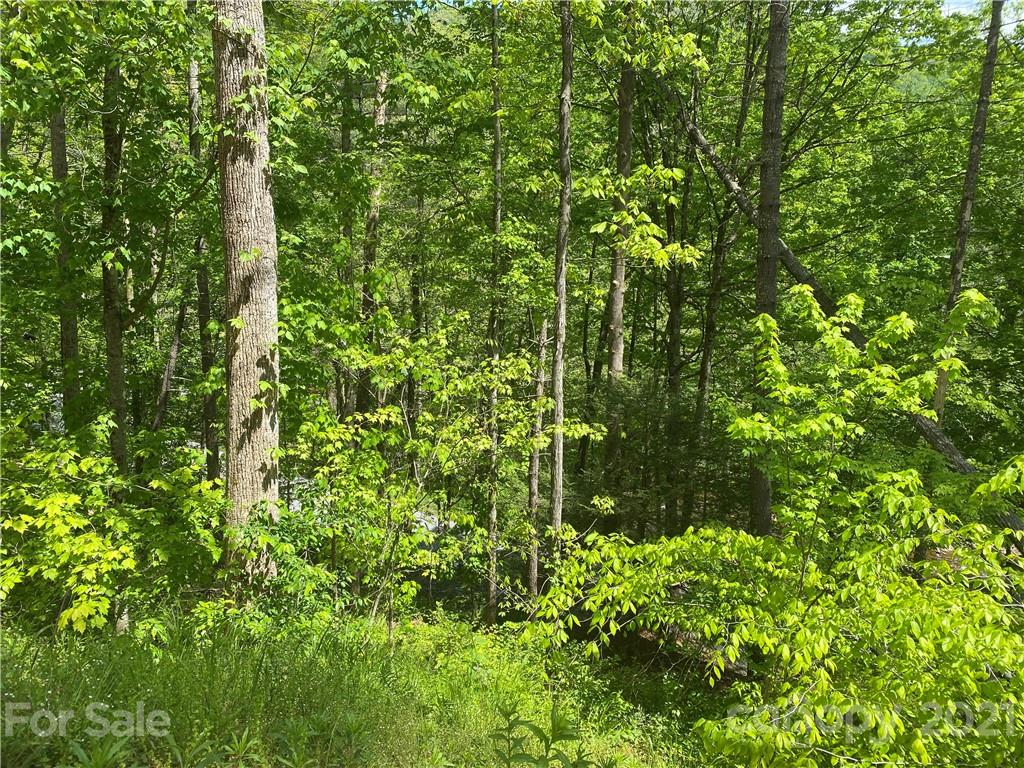 Tbd Highway 212 Highway Marshall NC 28753