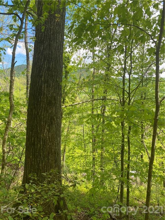 Tbd Highway 212 Highway Marshall NC 28753