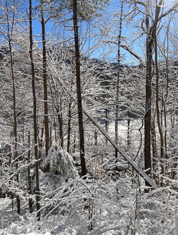 Tbd Highway 212 Highway Marshall NC 28753