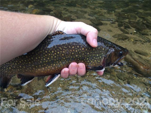 Tbd Highway 212 Highway Marshall NC 28753