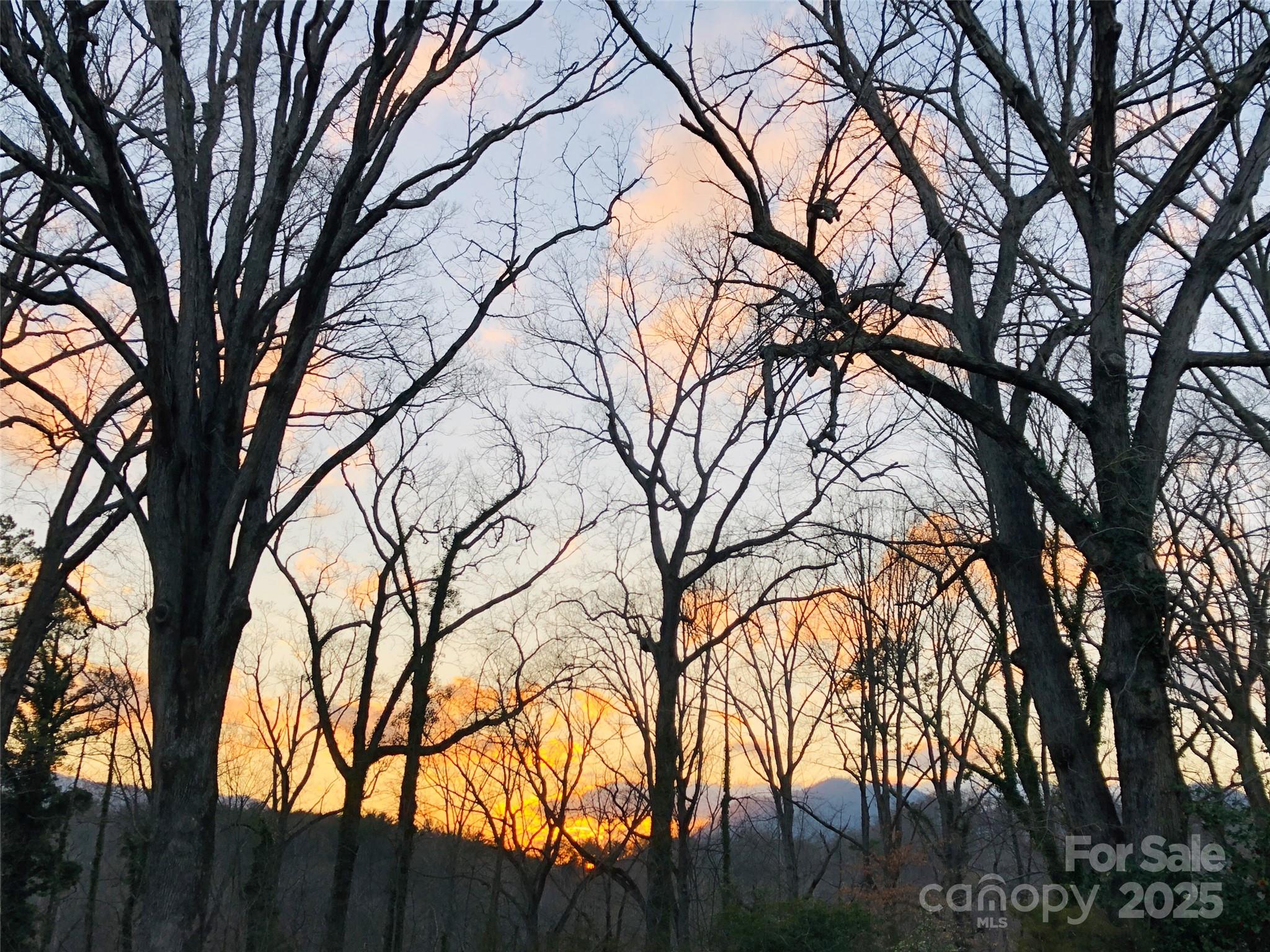 91 Ford Ridge Lane Columbus NC 28722