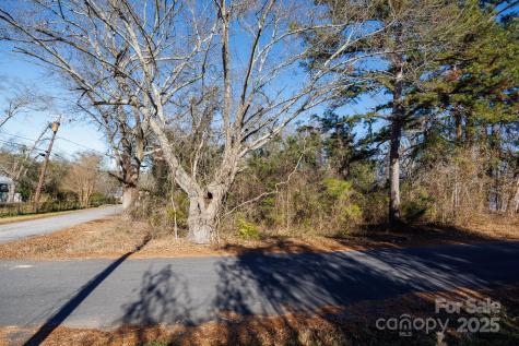 7 Wilson Avenue Great Falls SC 29055