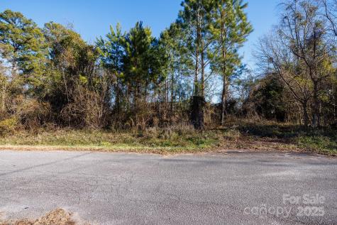 7 Wilson Avenue Great Falls SC 29055