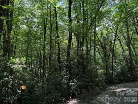 Lot #60 Yonder Trail Maggie Valley NC 28751