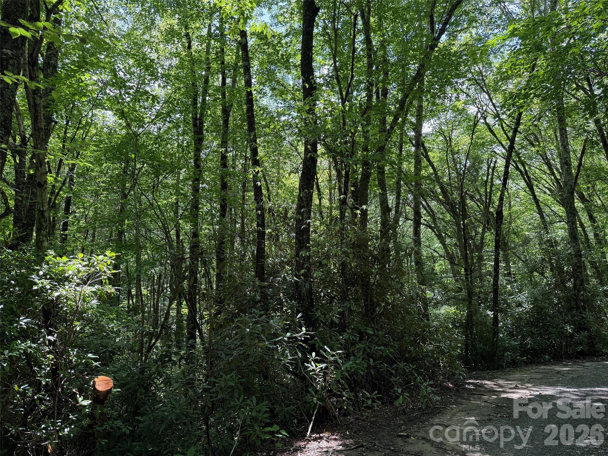 Lot #60 Yonder Trail Maggie Valley NC 28751