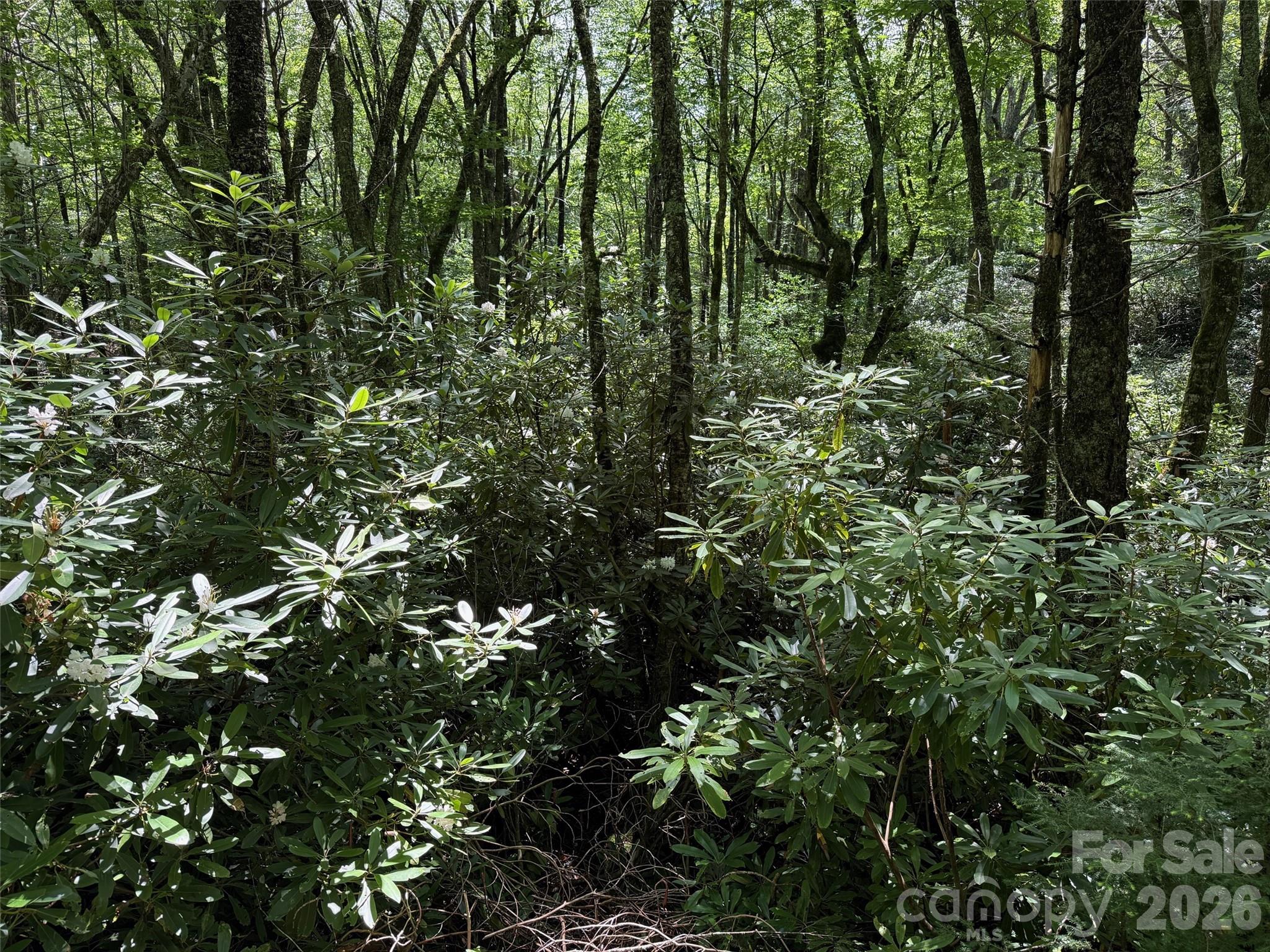 Lot #60 Yonder Trail Maggie Valley NC 28751