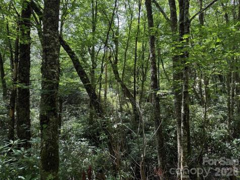 Lot #60 Yonder Trail Maggie Valley NC 28751